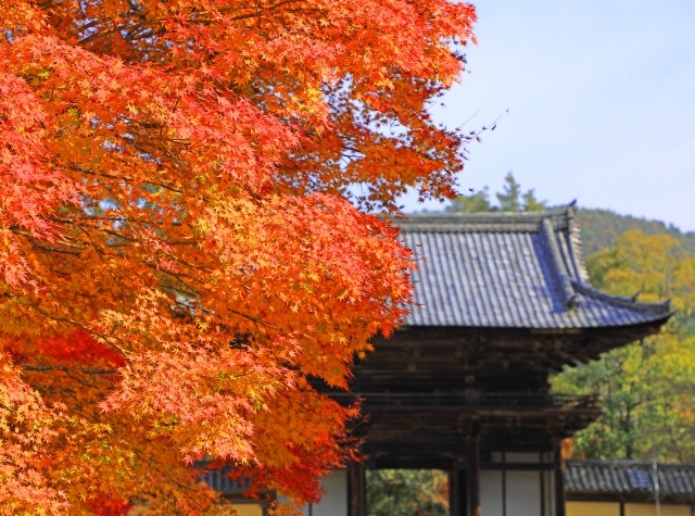 高雄 神護寺